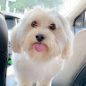 Meet your Posher, Eileen